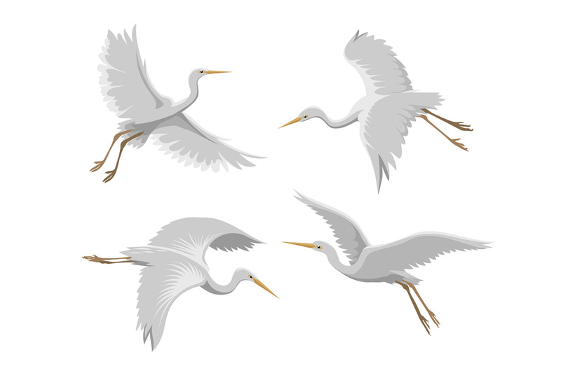 flying-heron-birds