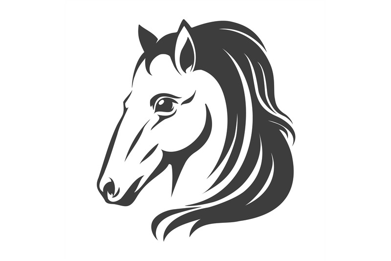 stallion-head-sketch