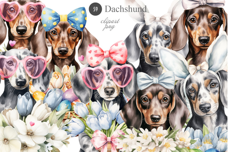 dachshund-bundle