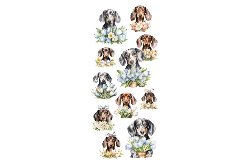 dachshund-bundle