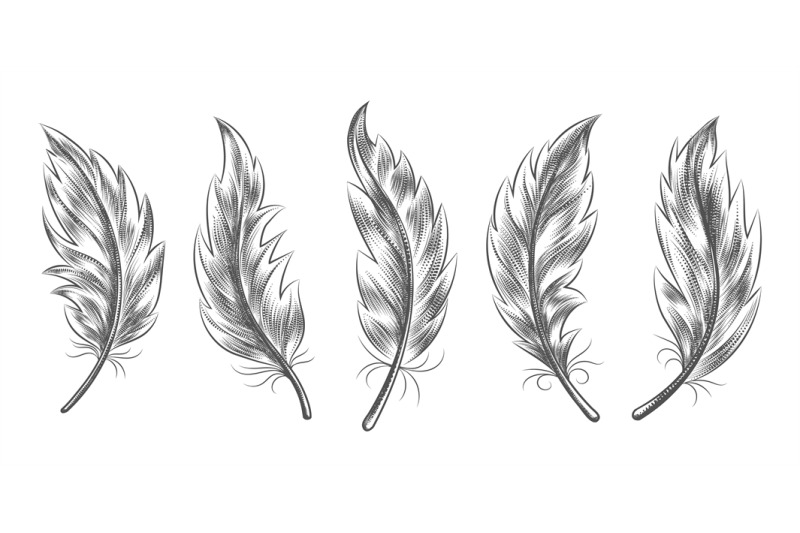 feather-sketch-icons