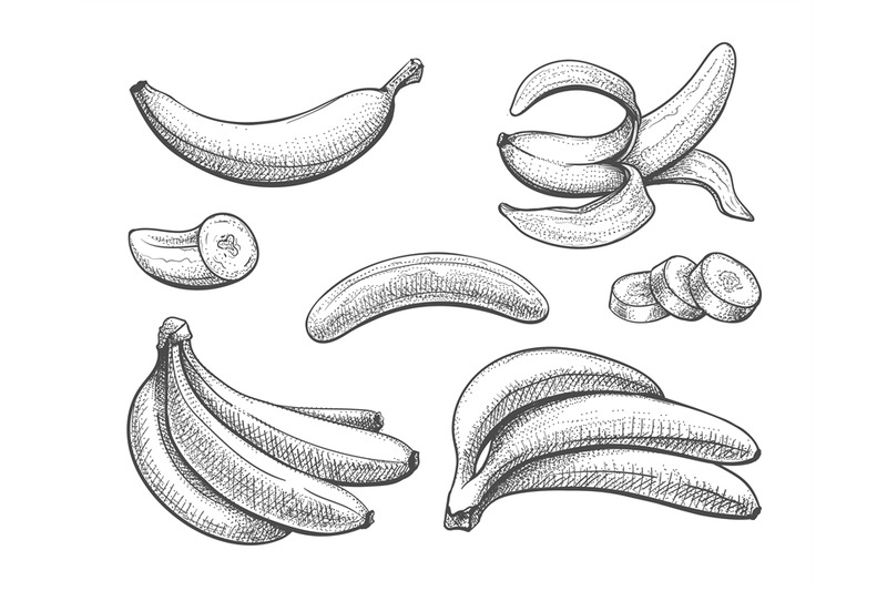 bananas-vintage-sketch