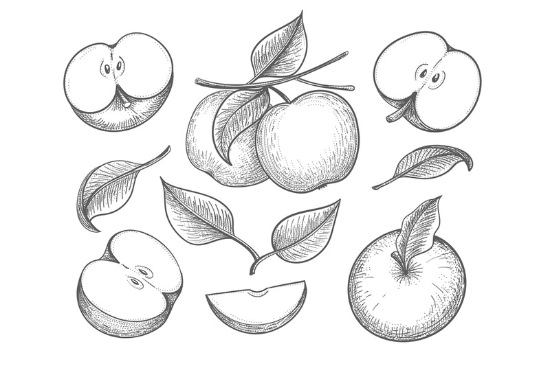 apples-retro-sketch