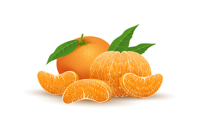 realistic-tangerine-fruit