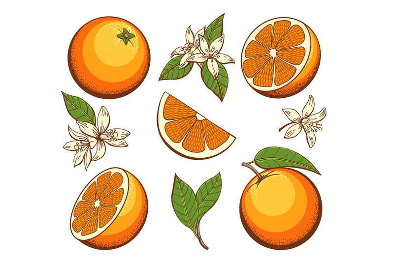cartoon-blossoming-oranges