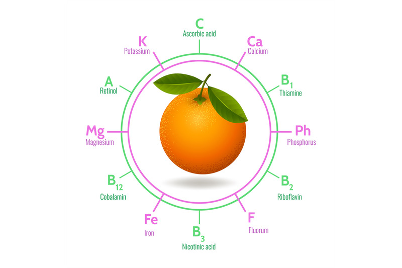 orange-fruit-infographic