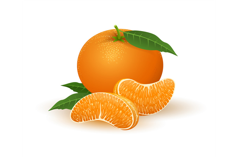 mandarin-segments-illustration