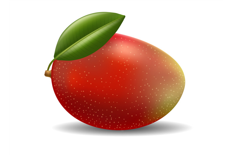 realistic-mango-fruit