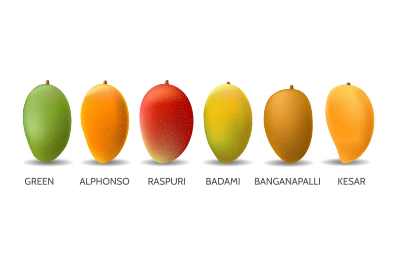 mango-fruits-variety