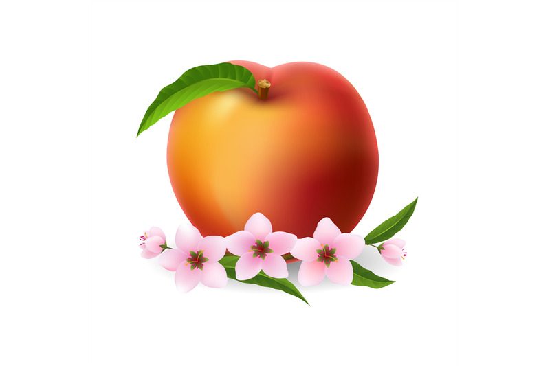 peaches-fruit-flowers