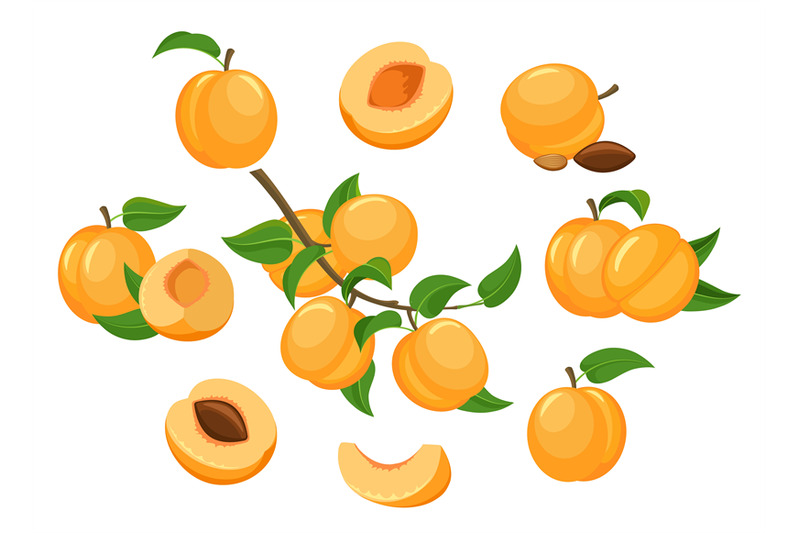 cartoon-apricots-isolated