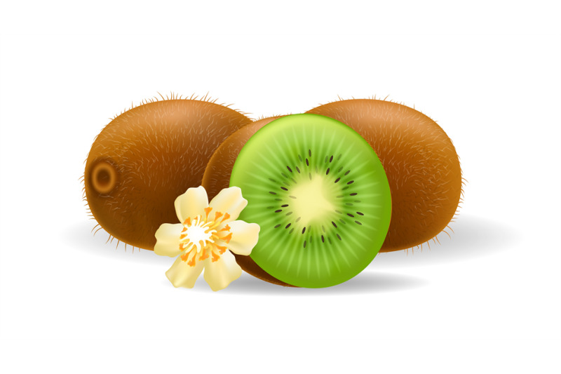 kiwi-fruits-and-flowers-isolated