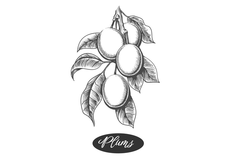 plum-branch-engraving