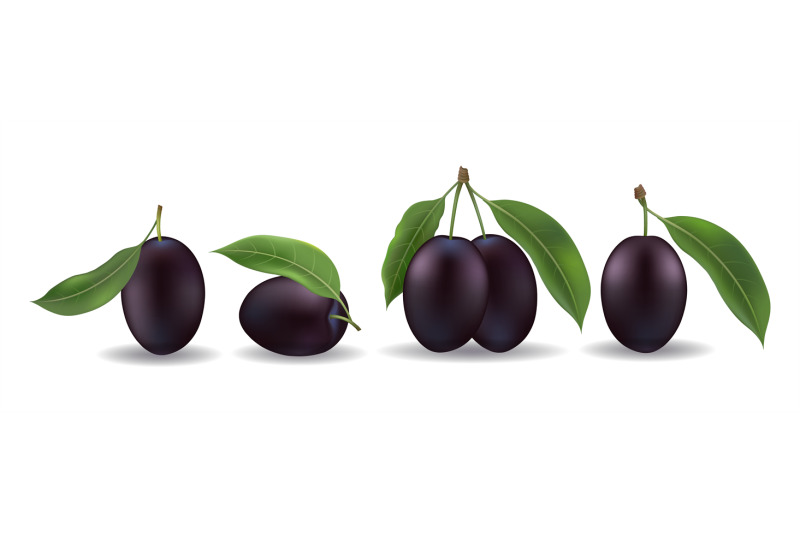 realistic-black-sweet-plum