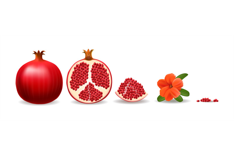 pomegranates-half-slice-flower-grains