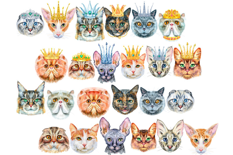 watercolor-borders-from-cats