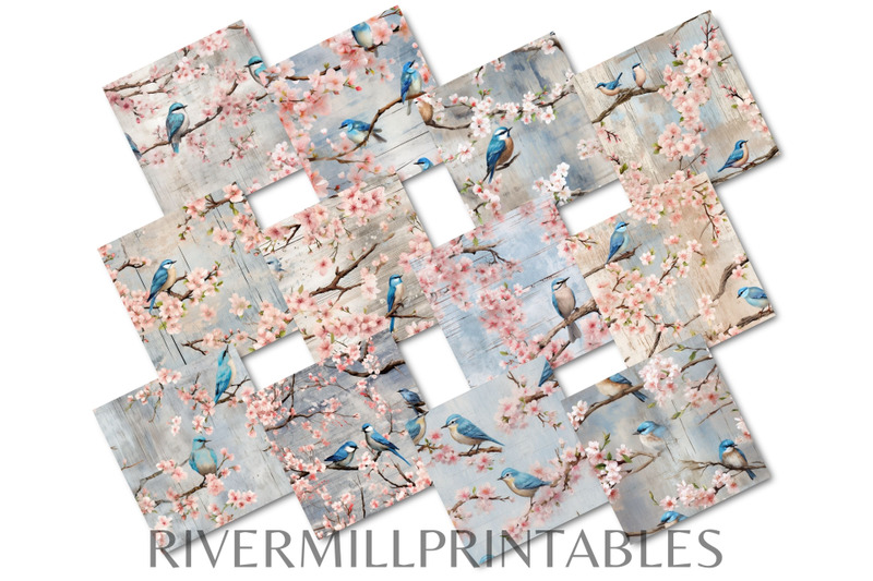 bluebirds-amp-cherry-blossoms-on-barnwood-digital-paper-pack