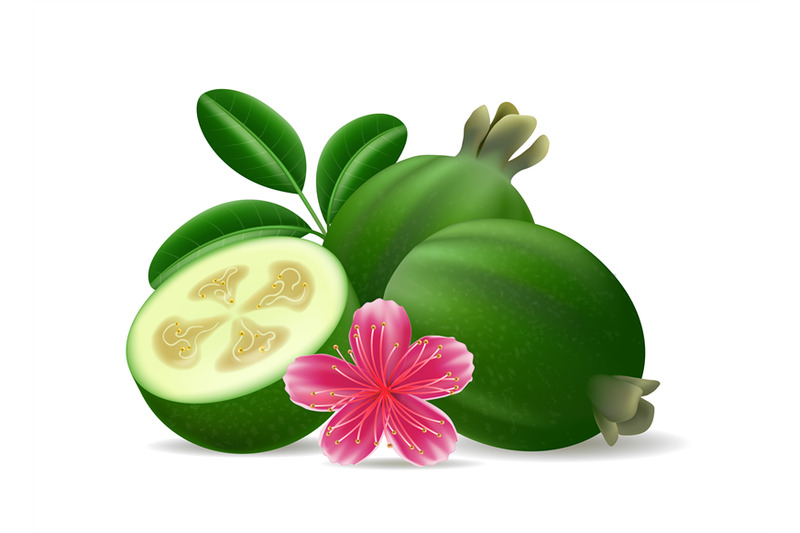 feijoa-sellowiana-fruits-leaves-flower