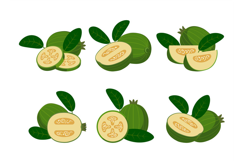 green-feijoa-cartoon-set