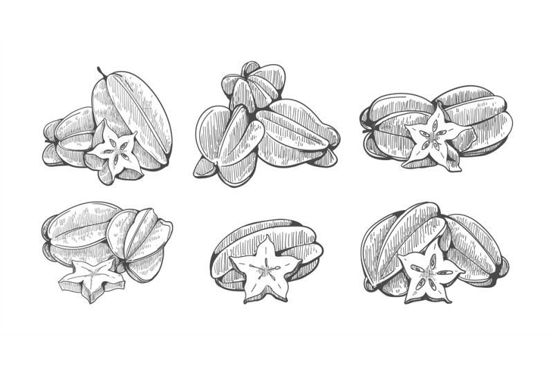 starfruit-engraving-illustration