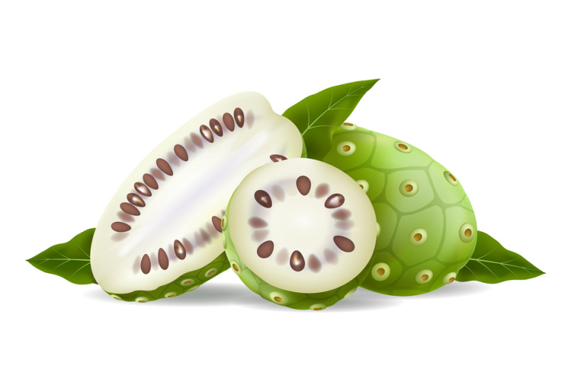 noni-fruits-and-leaves-realistic