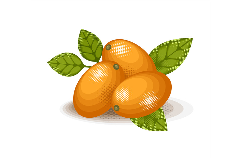 kumquat-stylized-cartoon-illustration