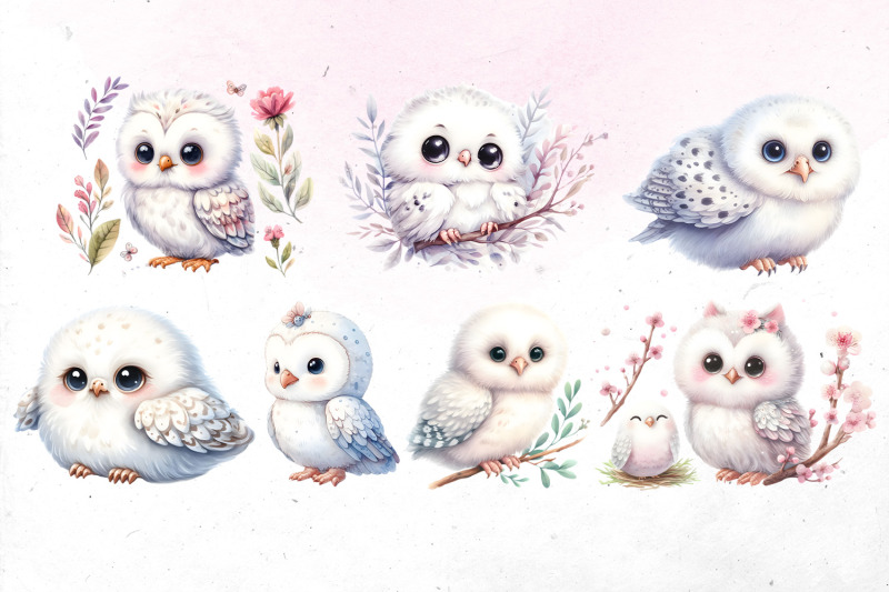 cute-watercolor-albino-owl-bundle-png-cliparts