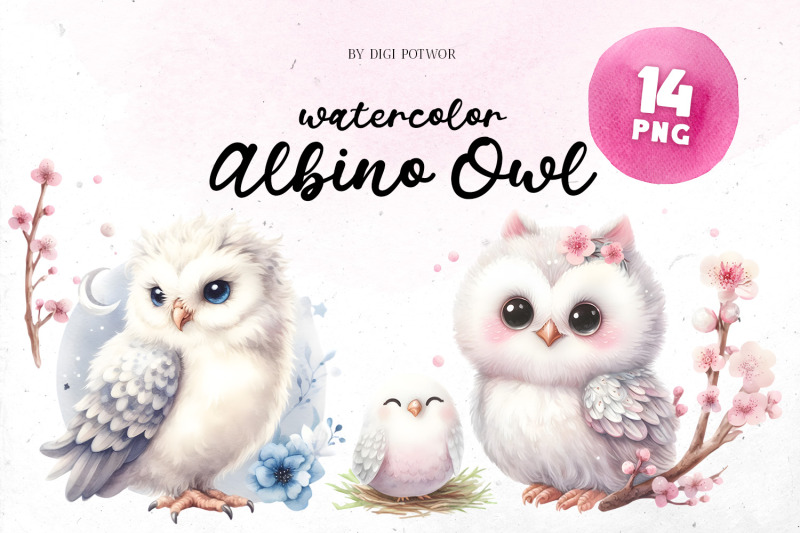 cute-watercolor-albino-owl-bundle-png-cliparts