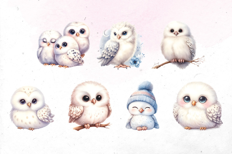 cute-watercolor-albino-owl-bundle-png-cliparts