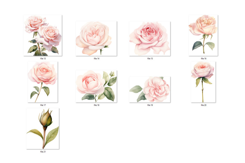 watercolor-wild-rose-clipart