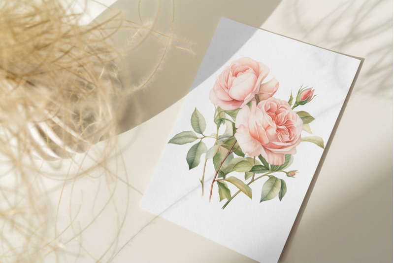 watercolor-wild-rose-clipart