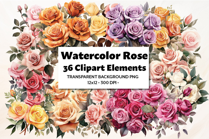 watercolor-rose-clipart-36-png-pack