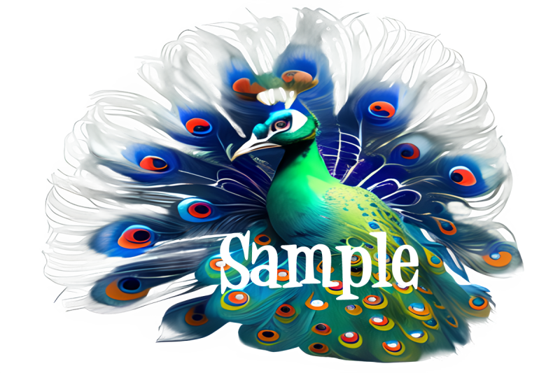 peacocks-clip-art-graphics