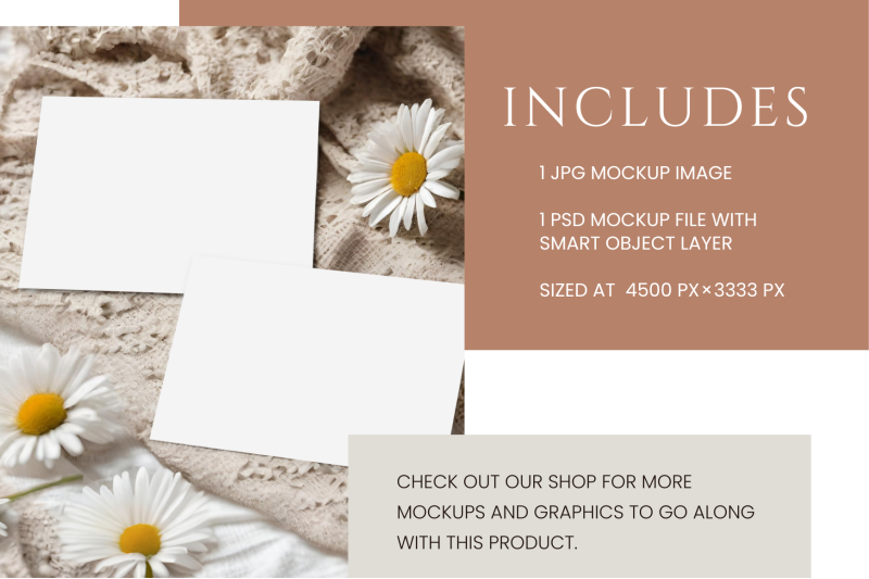 neutral-double-sided-card-mockup-with-creamy-boho-daisies