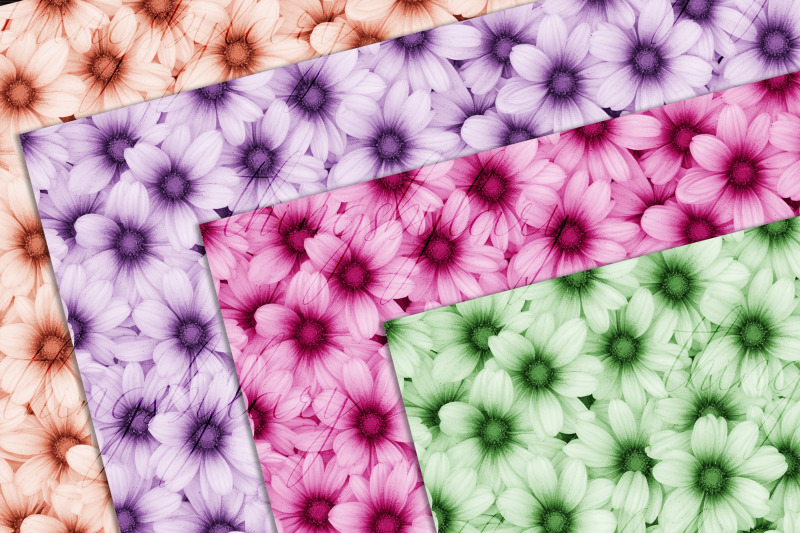 100-seamless-daisy-flowers-digital-papers