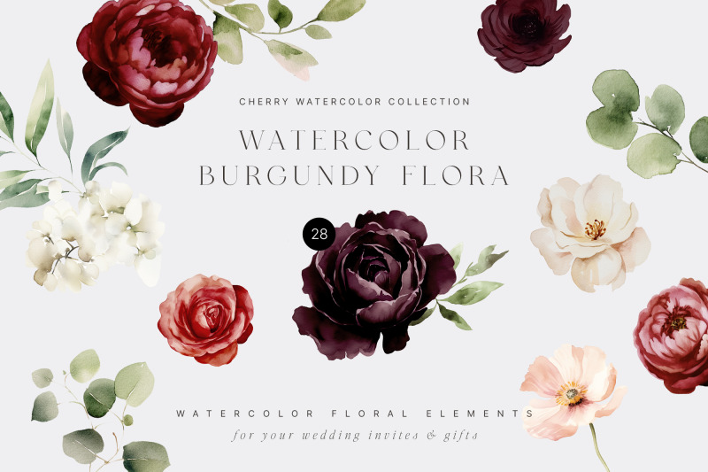 burgundy-watercolor-floral-collection-autumn-clipart