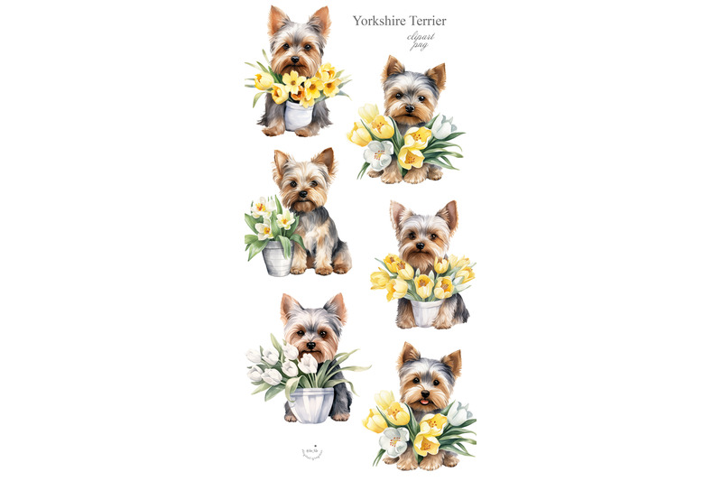 yorkie-bundle