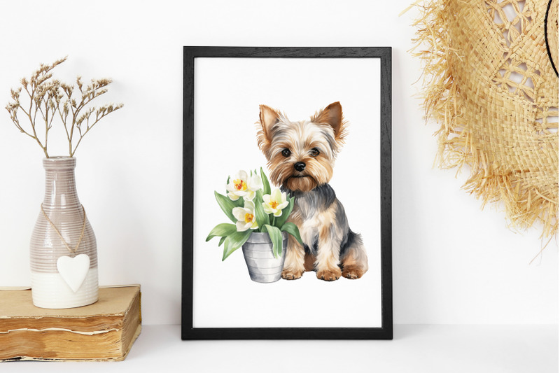 yorkie-bundle