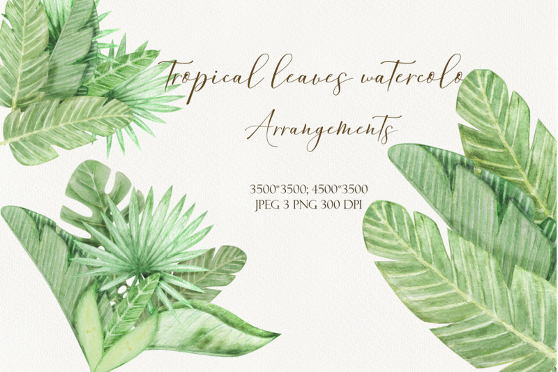 arrangements-tropical-leaves-watercolor-hand-drawn