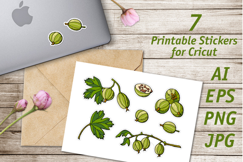 gooseberry-printable-stickers-cricut-design