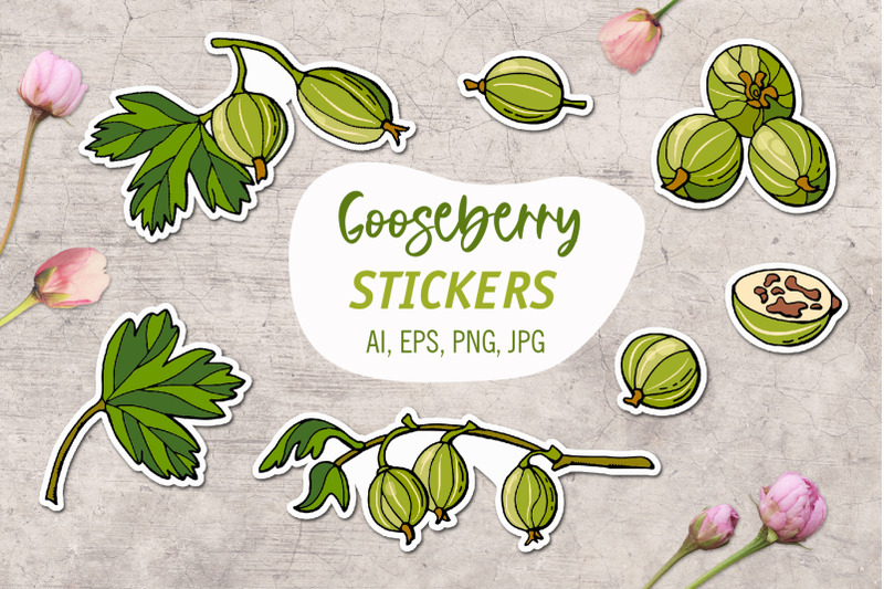 gooseberry-printable-stickers-cricut-design