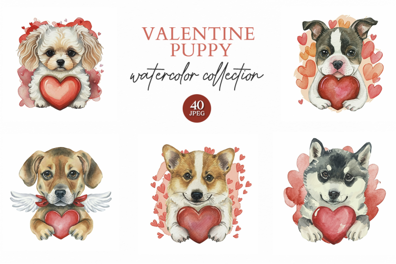 valentine-puppy