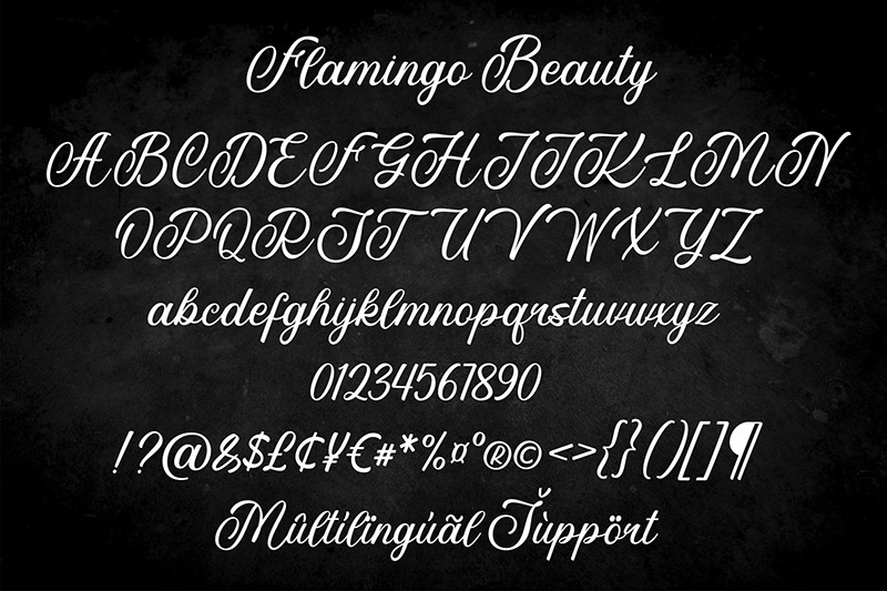 flamingo-beauty-beautiful-calligraphy-font