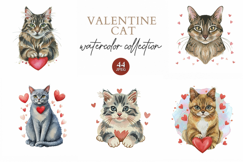 valentine-cat