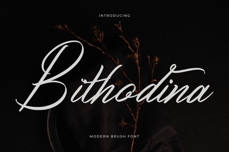 bithodina-modern-brush-font