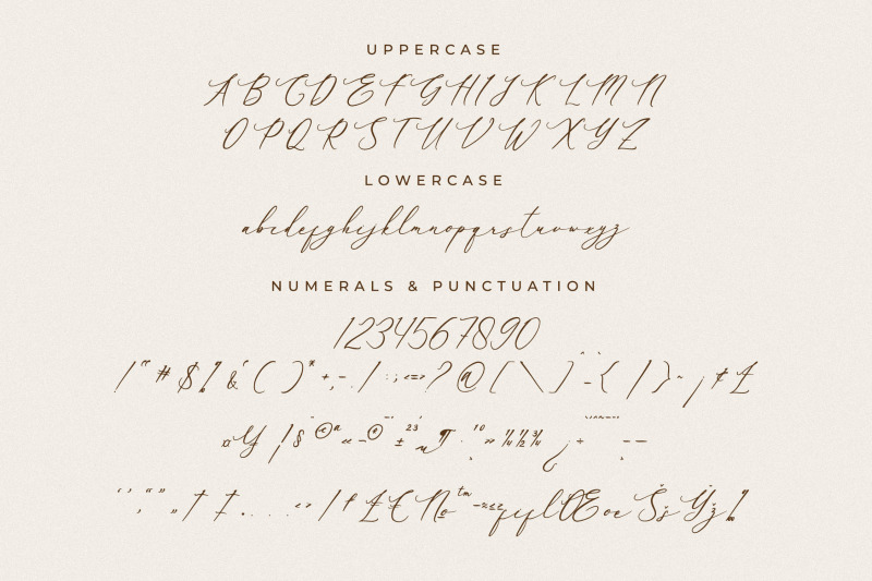 baiden-amelie-modern-signature-font