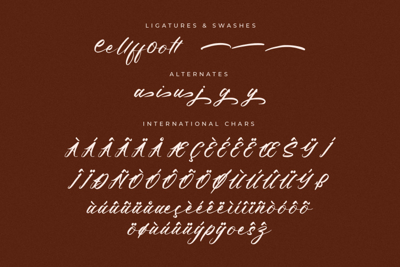 feori-luna-modern-script-font