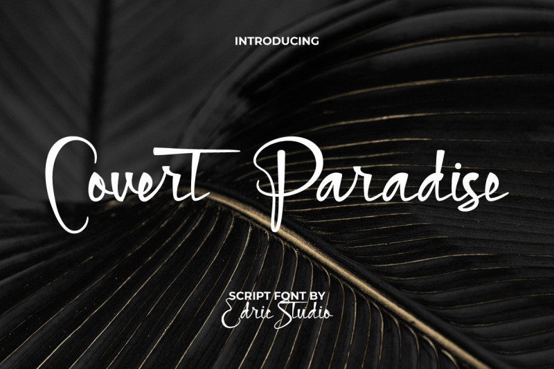 covert-paradise