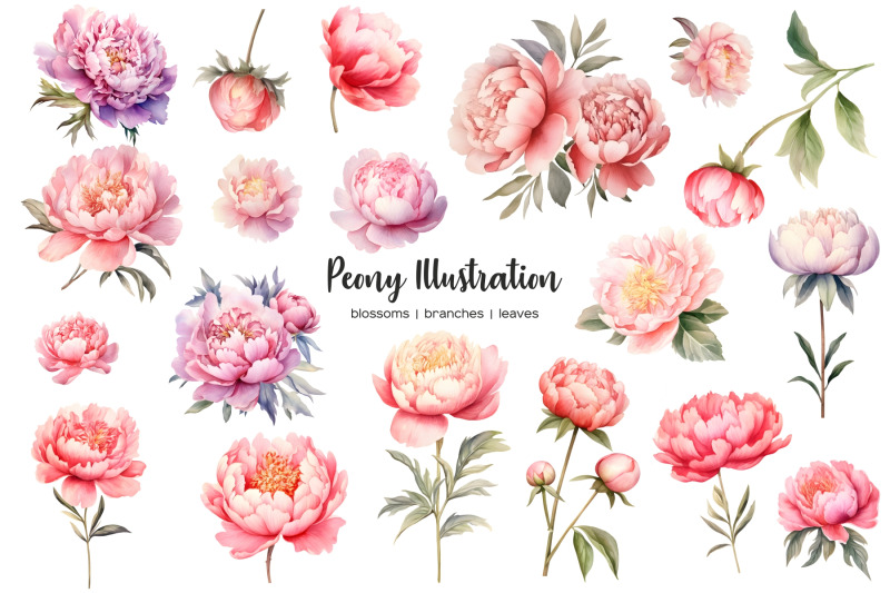 watercolor-peony-clipart-peony-blossom-branches-and-leaves-watercolor-clip-art-peonies-compositions-png-watercolor-pink-flowers-peonies-clipart