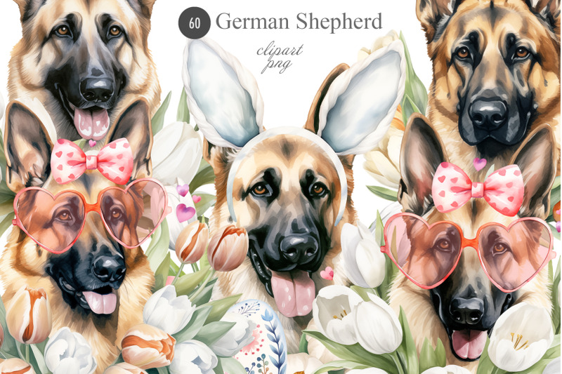 german-shepherd